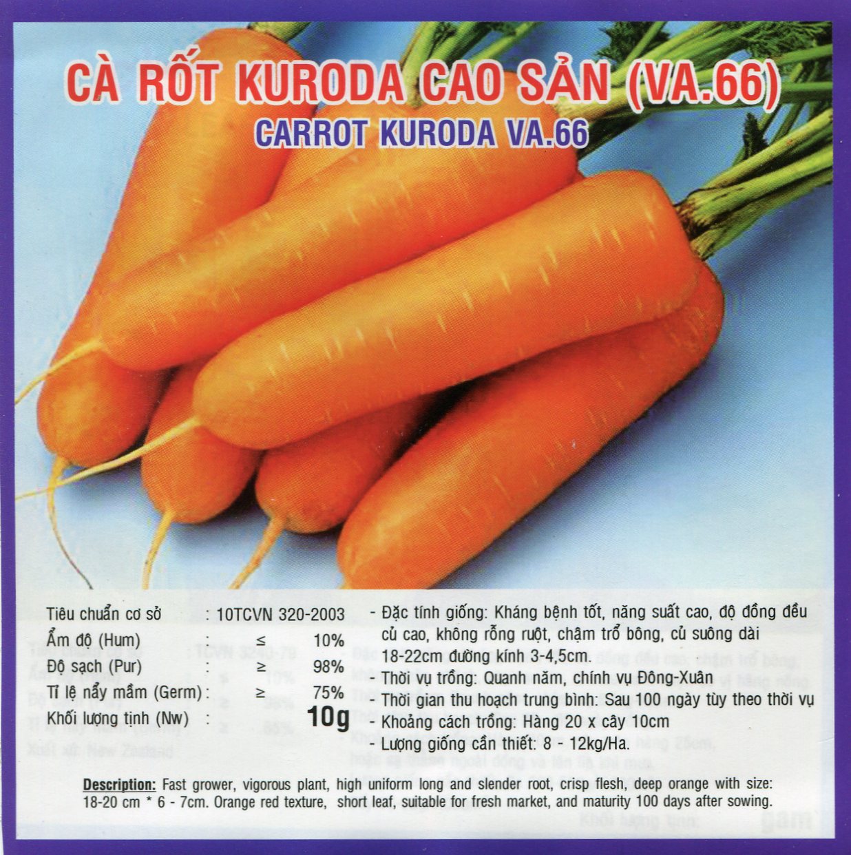 Kĩ thuật trồng cà rốt an toàn