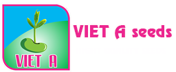 VIET A SEEDS COMPANY LIMITED