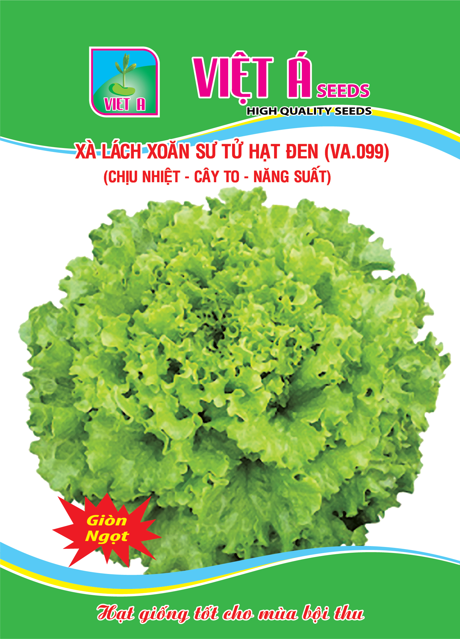 LETTUCE (VA.099)