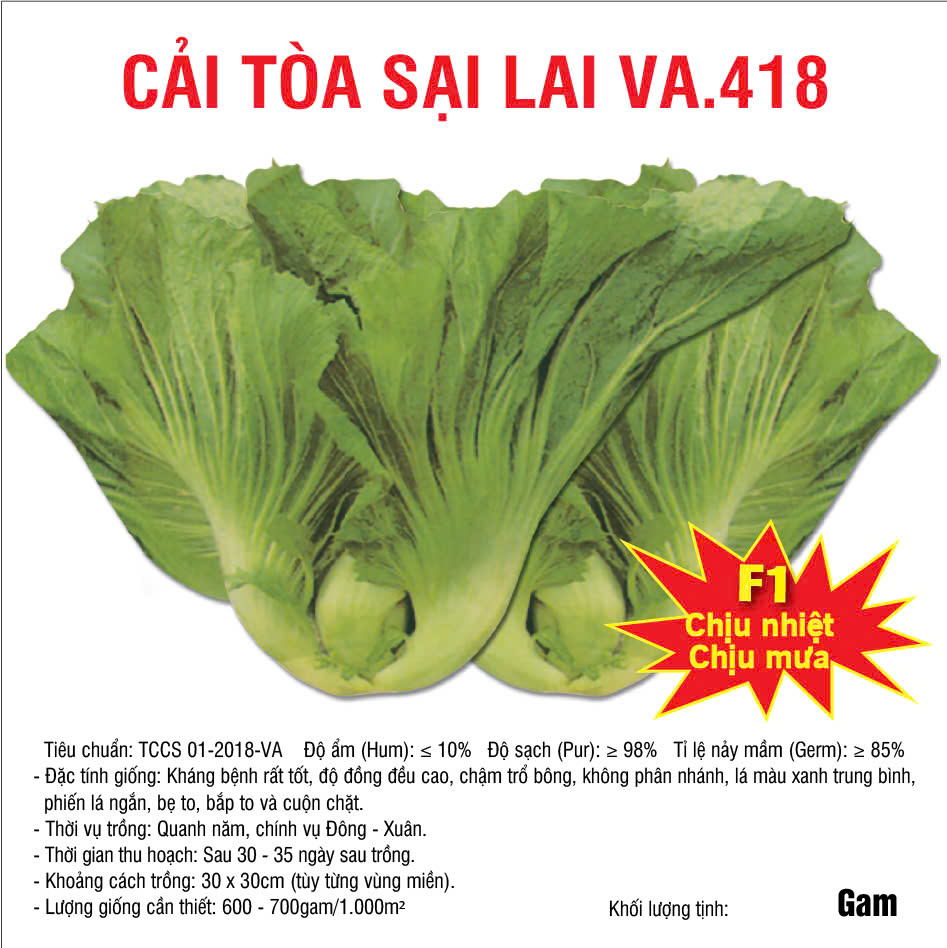 Hạt giống Cải tòa sại lai VA.418 – Hộp 100gam