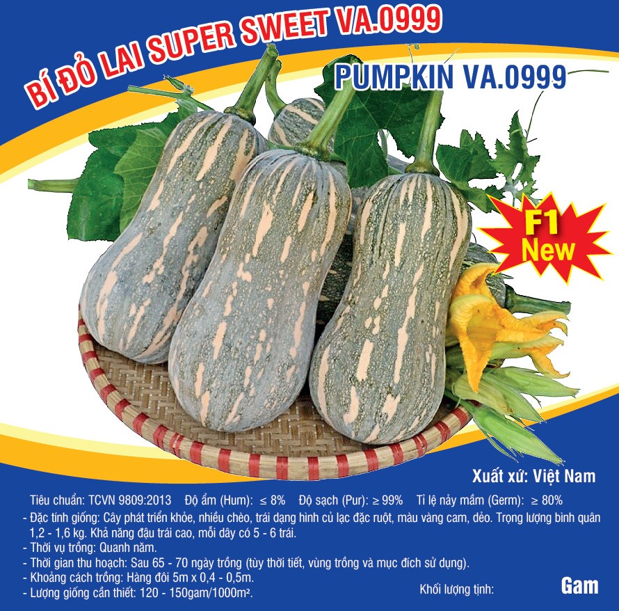 Hạt giống Bỉ đỏ lai Super Sweet (VA.0999) - 100 hạt