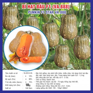 BÍ HẠT ĐẬU F1 (VA.888) 10 hạt