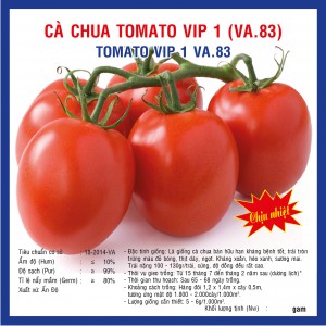 CÀ CHUA TOMATO VIP1 (VA83) 100 hạt