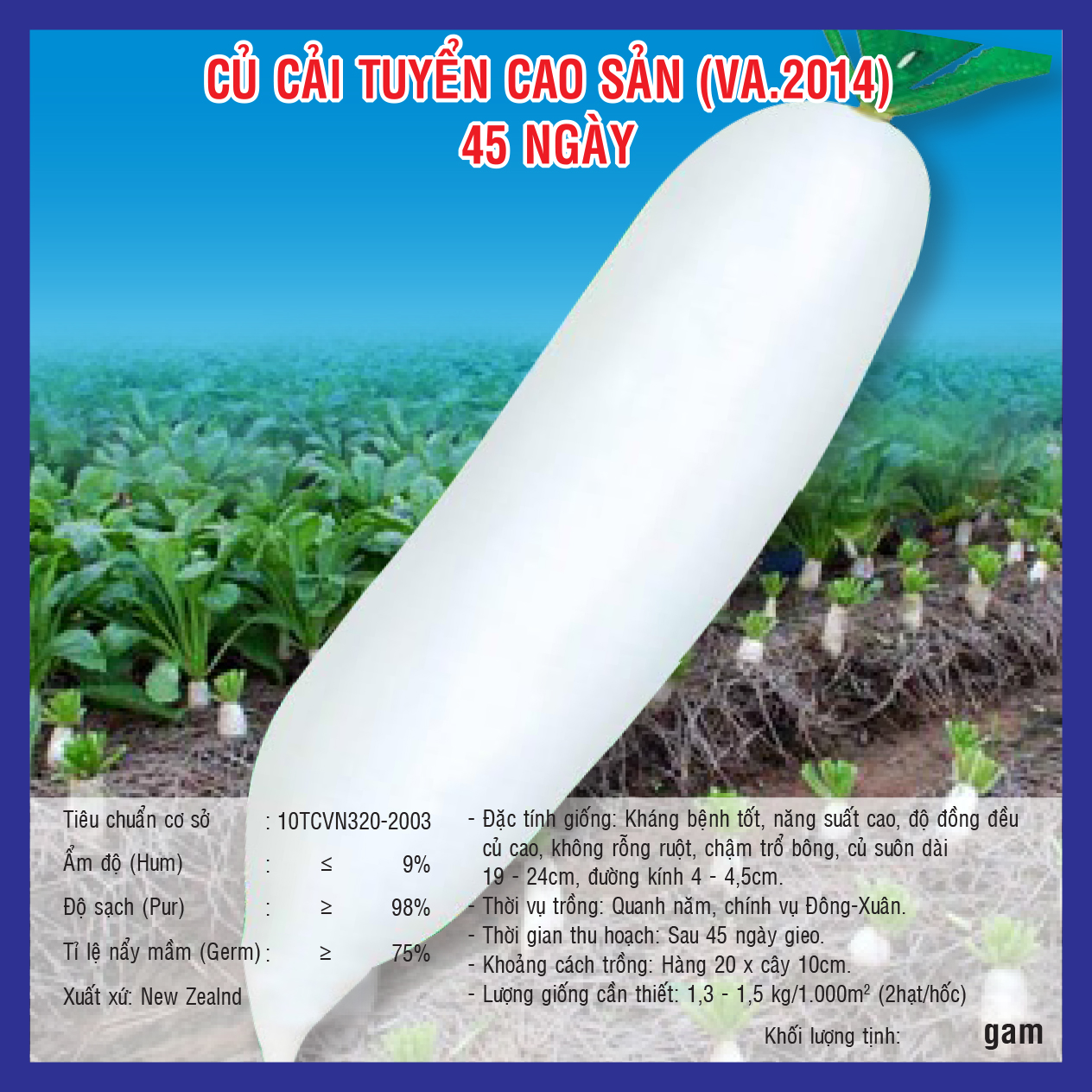 White radish VA 2014
