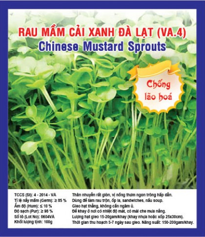 CHINESE MUSTARD SPROUTS VA.4