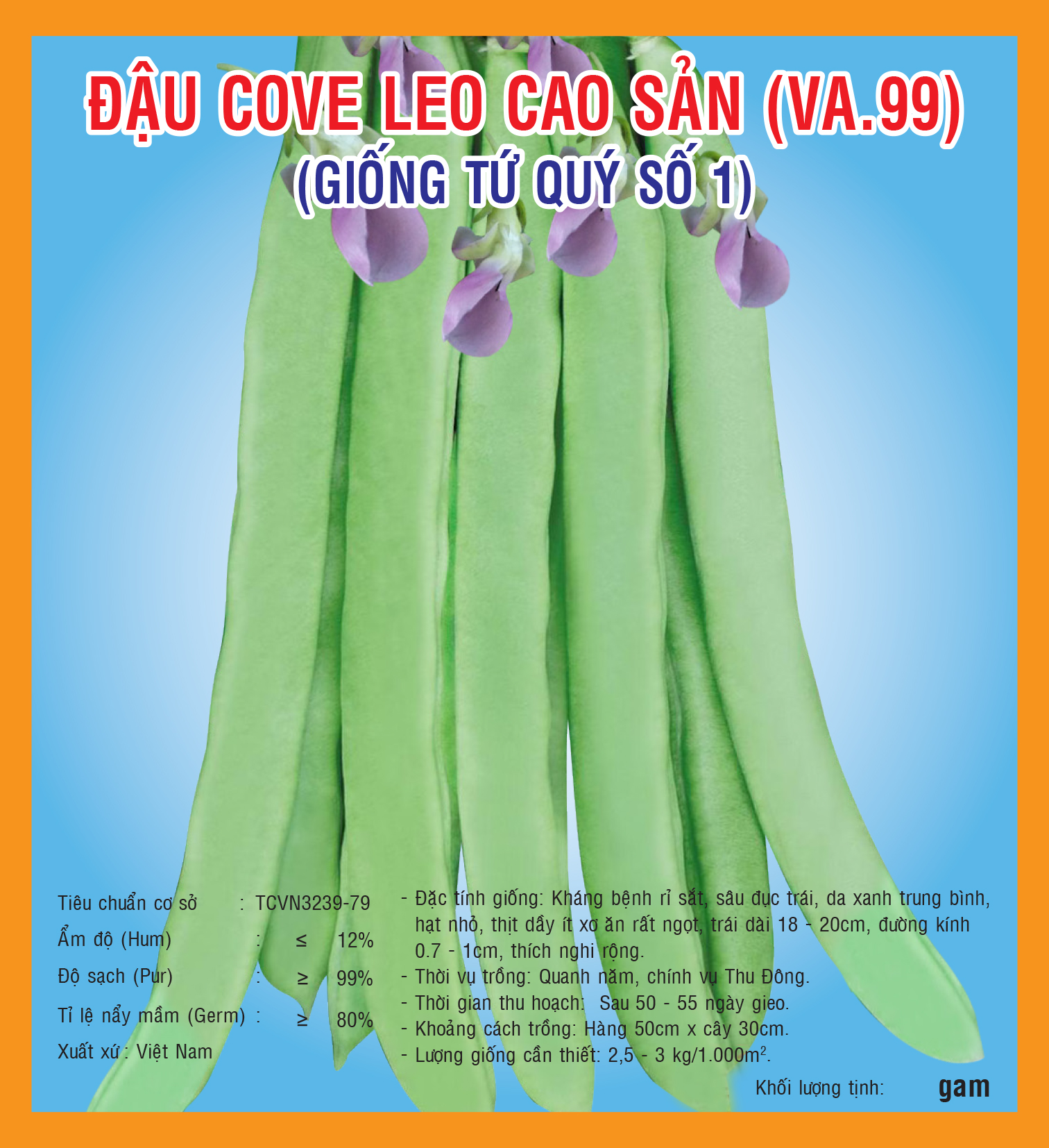 POLE BEAN (TU QUY) VA 99