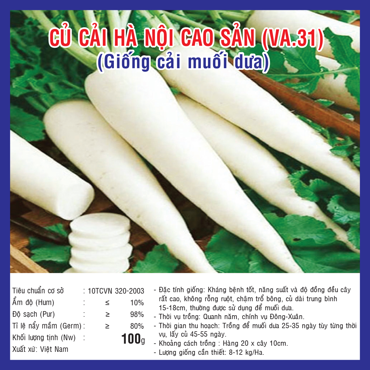 Radish VA 31