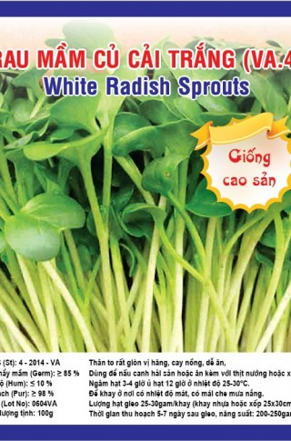 WHITE RADISH SPROUTS VA.4