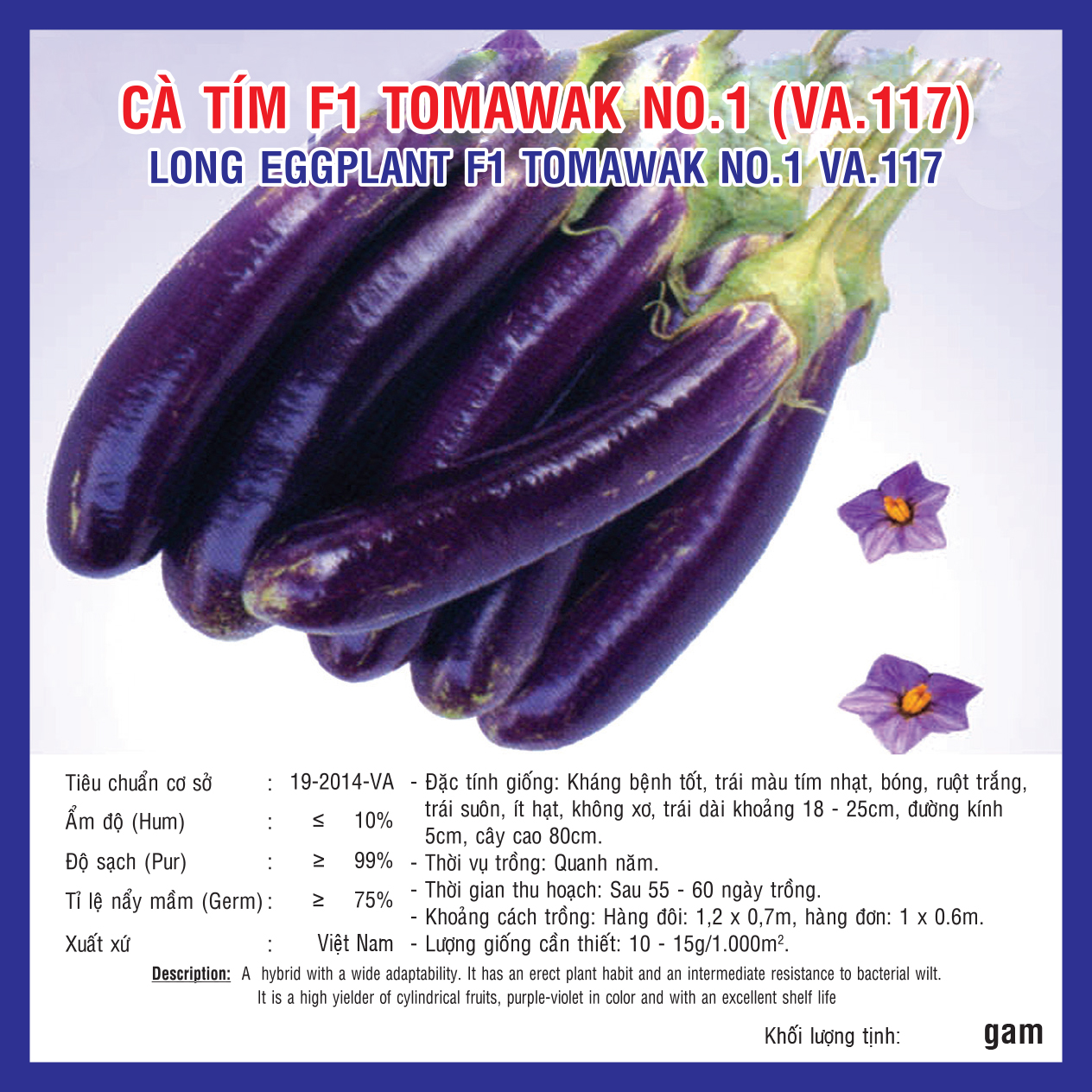 LONG EGGPLANT F1 TOMAWAK NO.1 VA.117