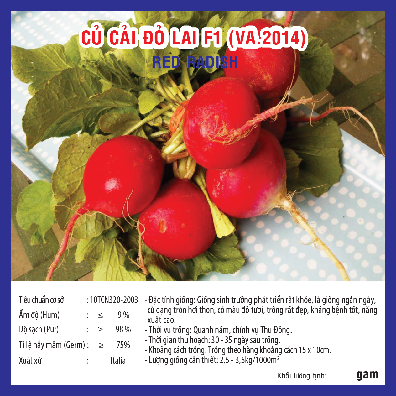 RED RADISH