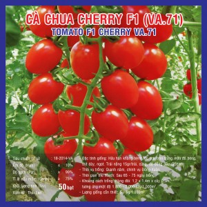 TOMATO F1 CHERRY 