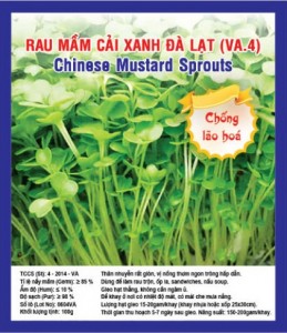 CHINESE MUSTARD SPROUTS VA.4