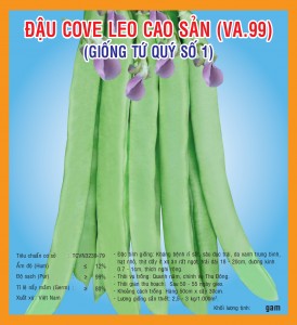 POLE BEAN (TU QUY) VA 99