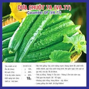 CUCUMBER OP (VA.77)