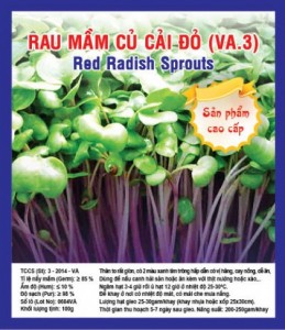RED RADISH SPROUTS VA.3