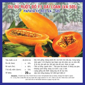 PAPAYA F1 RED VA.505