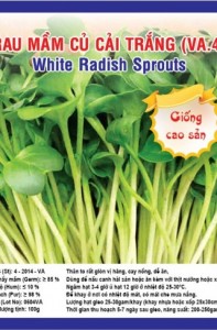 WHITE RADISH SPROUTS VA.4