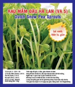 DUTCH SNOW PEA SPROUTS VA.5