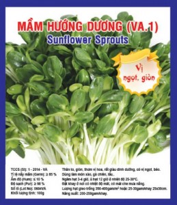 SUNFLOWER SPROUTS VA.1