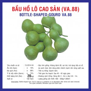 LOCAL BOTTLE GOURD (VA.88)