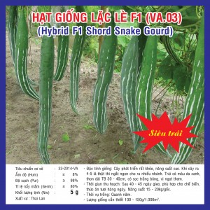 HYBRID F1 SHORT SNAKE GOURD (VA.03)