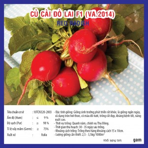 RED RADISH