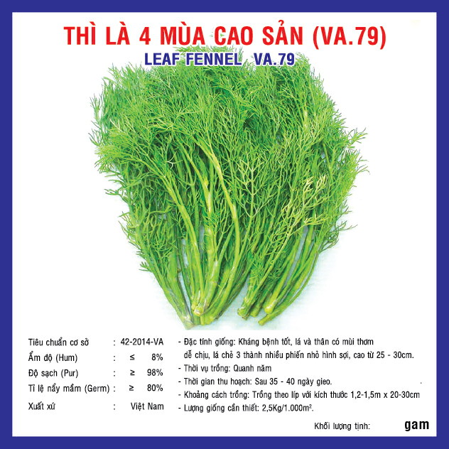 DILL (VA.79)