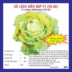 F1-LETTUCE BUTTERHEAD (VA.82)