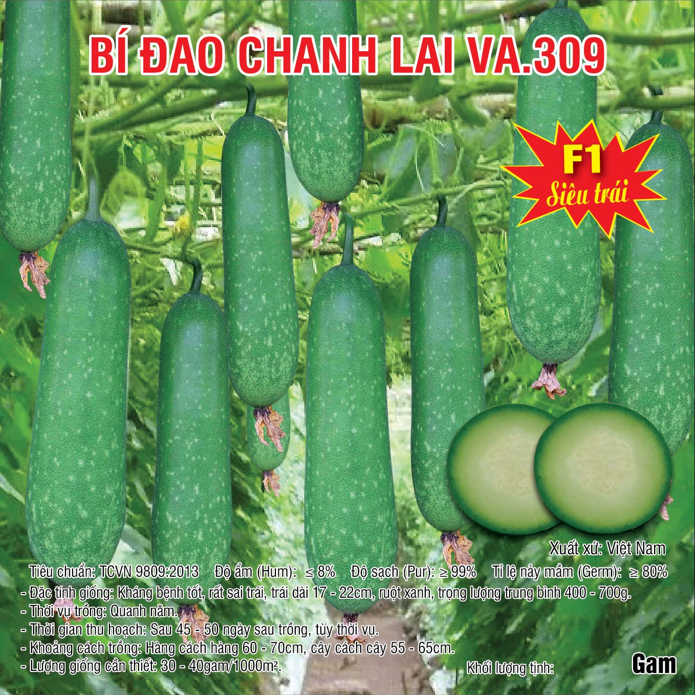 Bí đao chanh lai VA.309 – 2gram