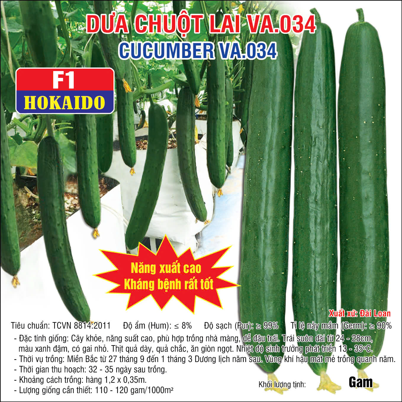 Hạt giống Dưa chuột lai VA.034 (Hokaido) - 500 Hạt