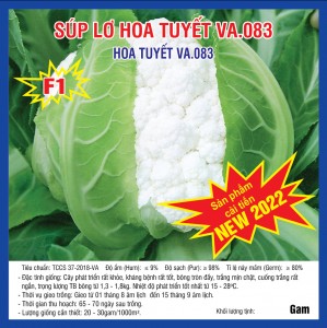 Hạt giống Súp Lơ Hoa Tuyết (VA.083) – 2.500 Hạt