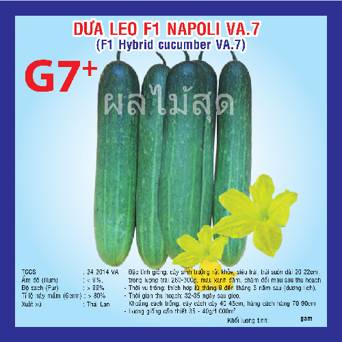DƯA LEO F1 NAPOLI G7 (VA.07) 10Gr