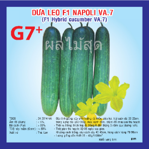 DƯA LEO F1 NAPOLI G7 (VA.07) 2Gr
