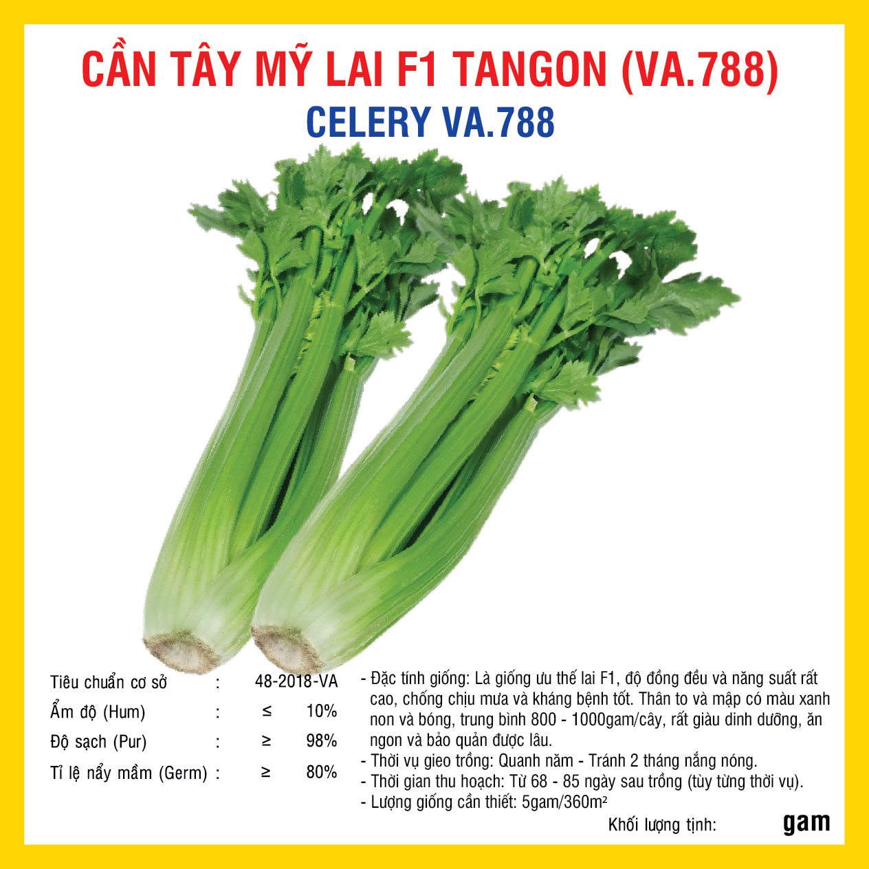 Hạt giống Cần tây Mỹ Lai F1 Tangon (VA.788) 500 hạt