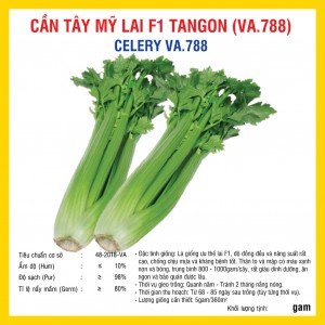 Hạt giống Cần tây Mỹ Lai F1 Tangon (VA.788) 5 gam
