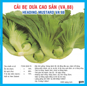 CAI BẸ DƯA CAO SẢN (VA.88) 50GR