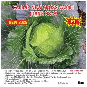 Cải bắp New Cross VA.081 New 2025 (Dạng NS-X) - 10gram