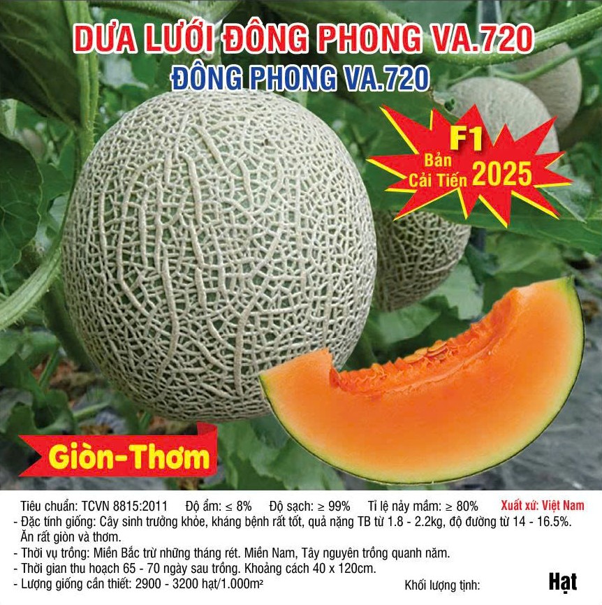  Dưa Lưới Đông Phong VA.720 – 10 Hạt