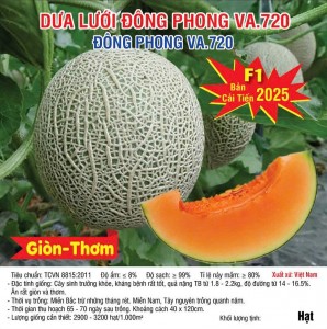Dưa Lưới Đông Phong VA.720 – 1000 Hạt