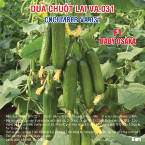 Dưa chuột lai VA.031 – 500 Hạt