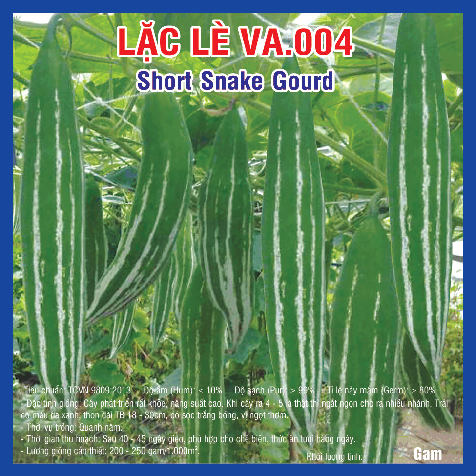 Short Snake gourd (VA.004)