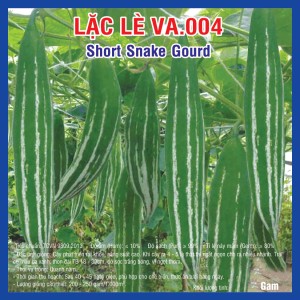 Short Snake gourd (VA.004)