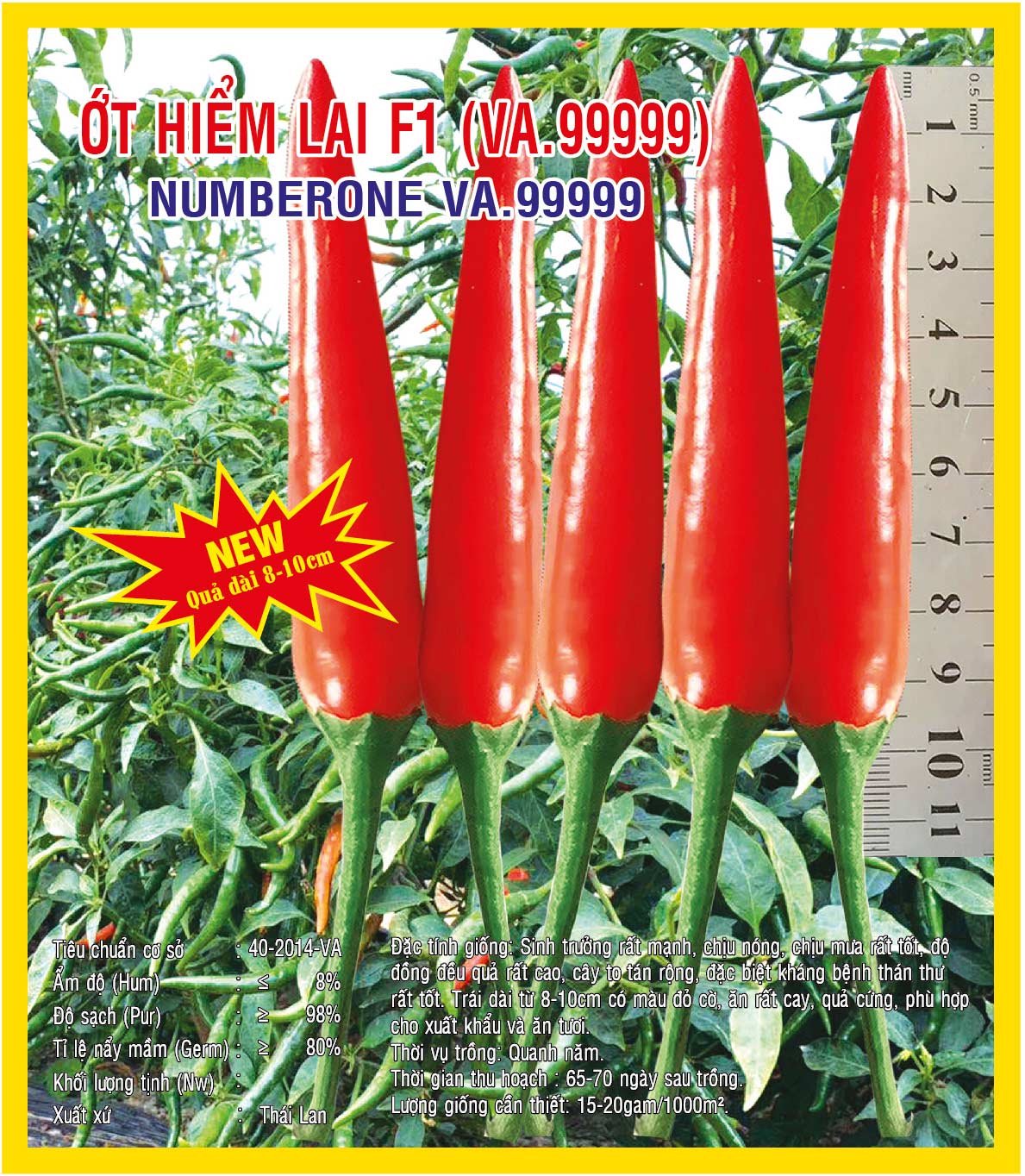 Hạt giống Ớt Hiểm Lai F1 Numberone (VA.99999) 5gr