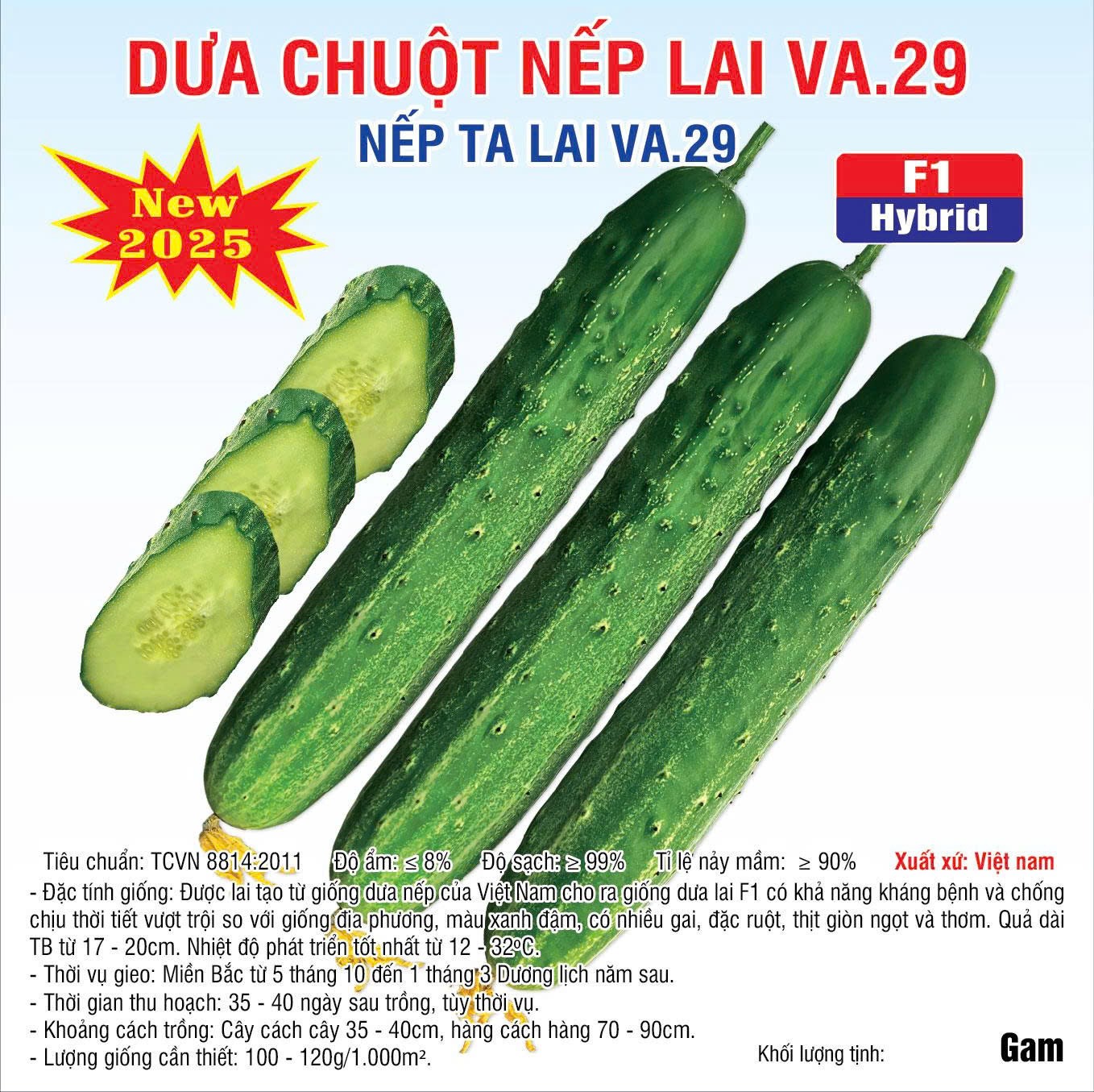 Dưa chuột Nếp lai VA.29 - 10gram