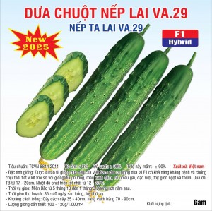 Dưa chuột Nếp lai VA.29 - 10gram