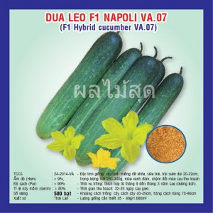 F1 hybrid cucumber (VA.07)