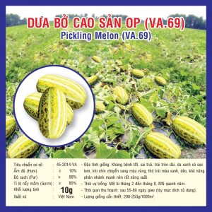 Picking Melon (VA.69)