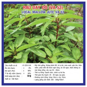 local mallow jute (VA.53)