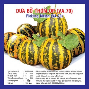 Picking Melon (VA.70)