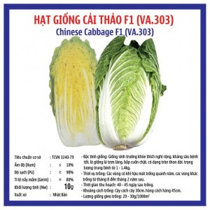 CHINESE cabbage (VA.303)